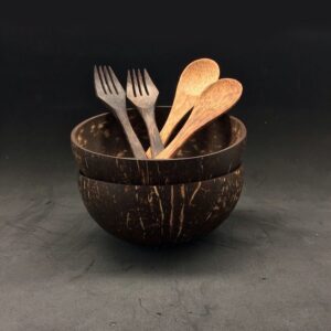 Polished Coconut Shell Bowls & Spoon