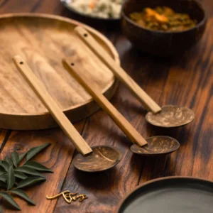 Natural Coconut Spoon Collection