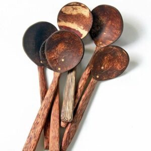 Handcrafted Coconut Shell Ladle Set